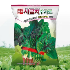 아시아종묘 수시로 시금치 씨앗 400g 연중재배 시금치씨 종자