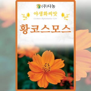 다농 황코스모스 씨앗 1g 황색 코스모스 꽃씨 야생화 종자
