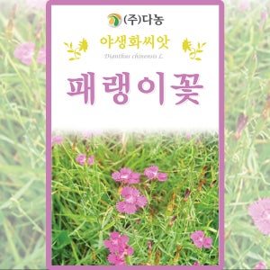 다농 패랭이꽃 씨앗 400립 패랭이 꽃씨 야생화 종자
