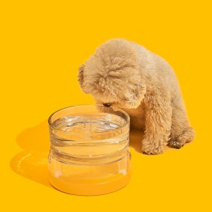 미우타임즈 더 리플 보울 베이스 추가 세트 (보울&스탠드&베이스) 고양이 강아지 유리 투명 물그릇 밥그릇 식기 수반