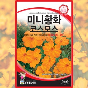 세계종묘 미니황화코스모스 씨앗 50립 작은 황색 코스모스 꽃씨 야생화 종자