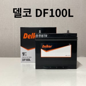 카니발 델코 DF 100L 자동차 배터리 최신 제품
