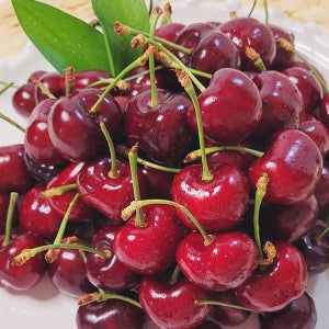 상큼한 프리미엄 고당도 생 체리