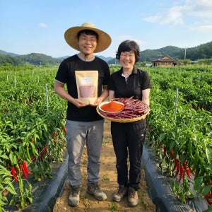 26년 국산 진안 햇 고춧가루 보통매운맛 500g 김장용 반찬용 고추가루