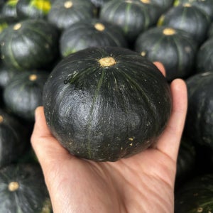뉴질랜드 단호박 3kg 5kg 미니 밤호박 고당도 달콤 간식용
