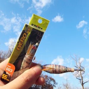 키우라 네로 에기 24년 신형 쭈꾸미 갑오징어 문어 틴셀 스몰 민방위 에기 55mm 애기