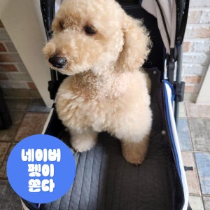 강아지 유모차 방석 애견 쿠션 개모차 오가닉 원터치 가드 라이너 모달차콜 소