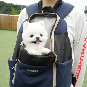 패리스독 네오 소프트 펫백 가방 네이비 대중교통 이용 가능