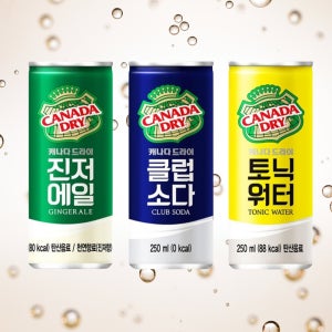 캐나다 드라이 진저에일 토닉워터 클럽소다 250ml 12캔 음료수 하이볼 탄산수 믹서