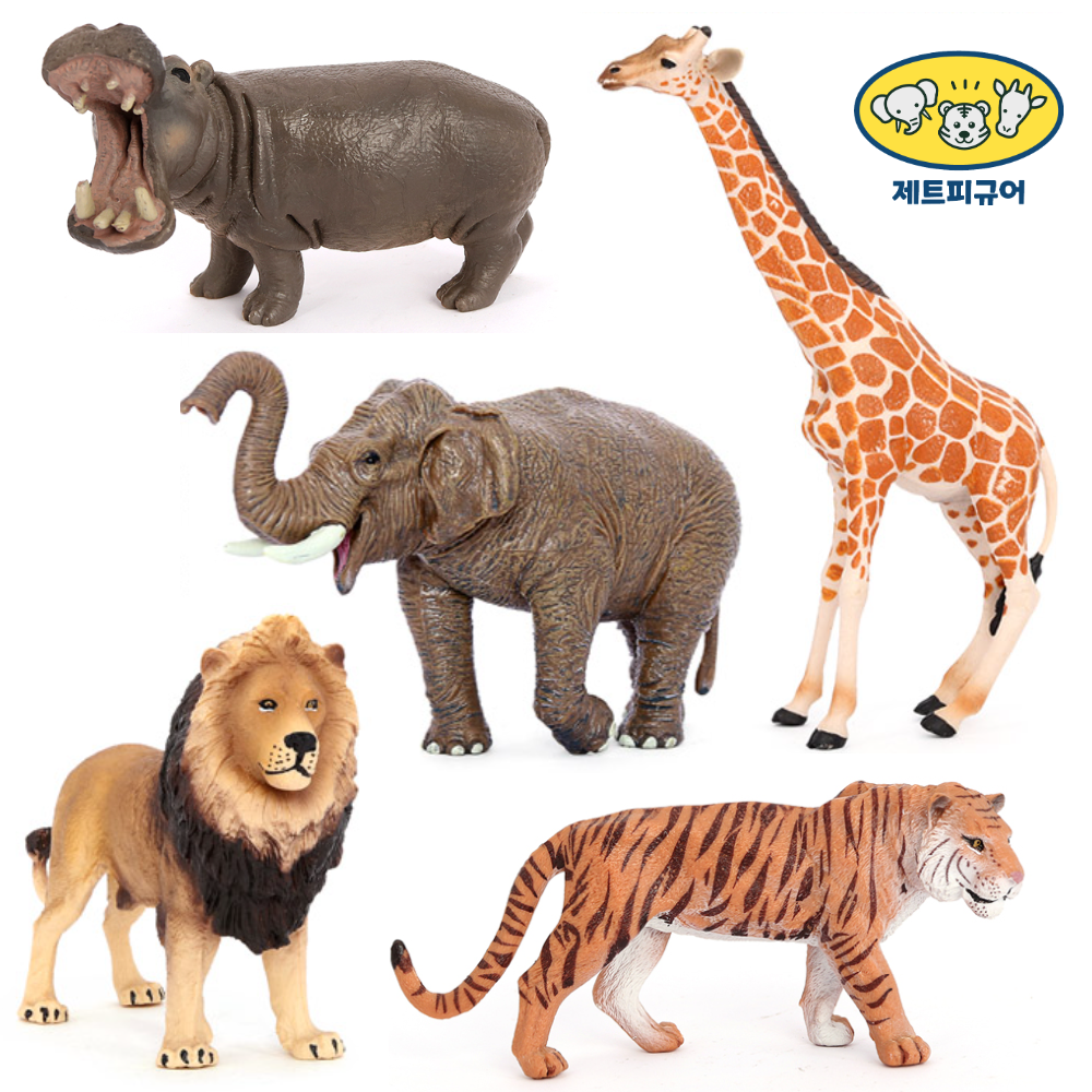 하마 (Hippo)