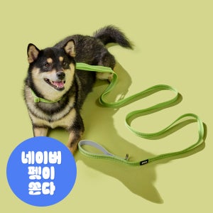 [강형욱X퍼피즈] 피크닉 리드줄, 강아지 산책줄 리쉬 (2미터)