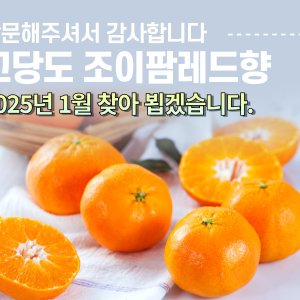 레드향5kg 최저가 가성비상품