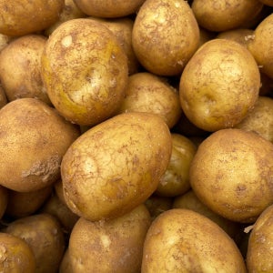 산지직송 25년 수확 강원도 햇감자