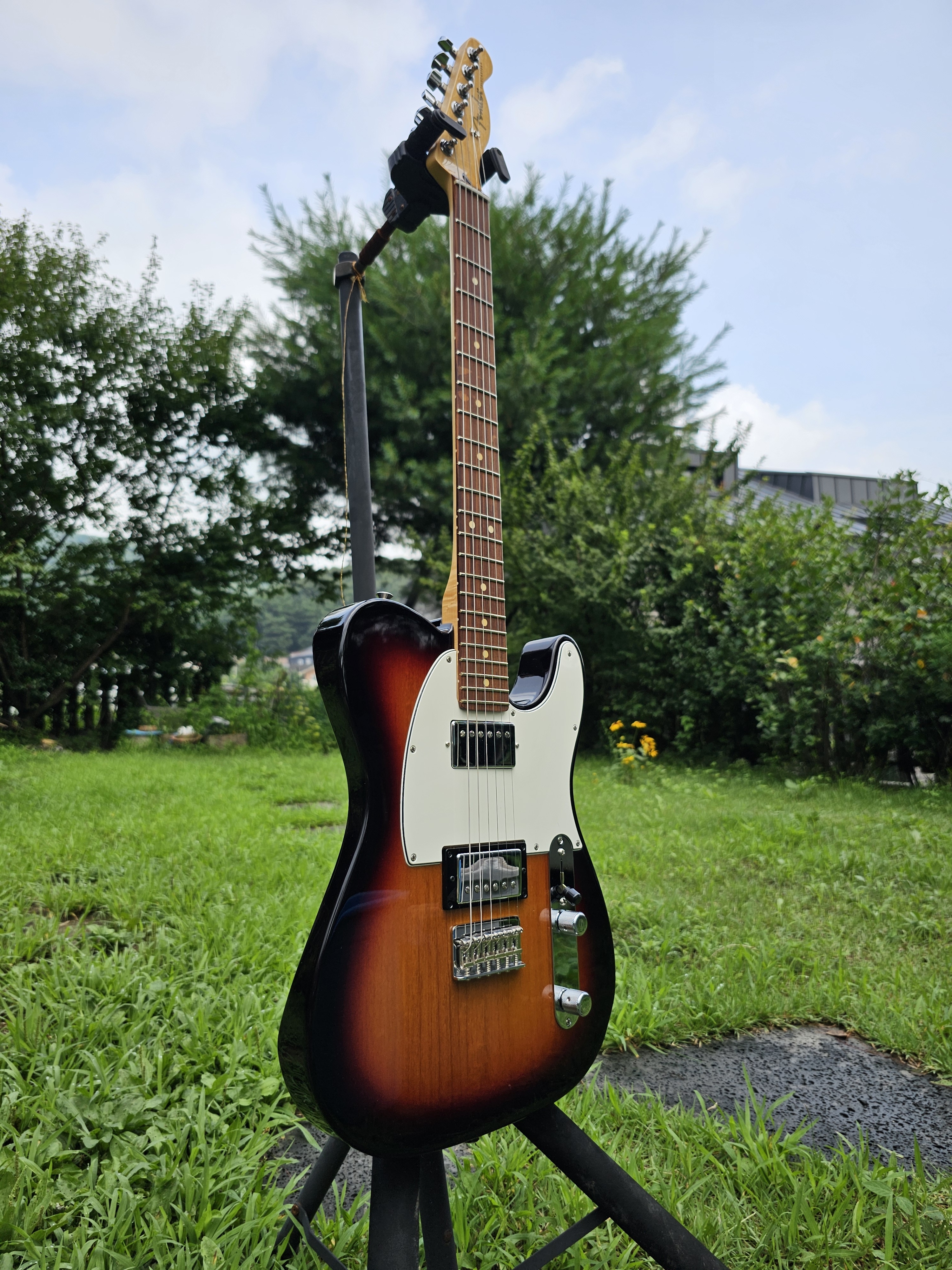 Fender 펜더 플레이어 텔레케스터 험험 HH 3TS MEXICO
