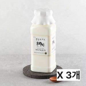 [네이버단독구성]영준목장 수제 요거트 플레인 무가당 500ml 3개 10%