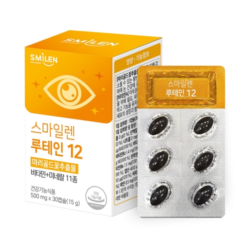 <b>스마일렌 징코 11</b> 600mg 30정