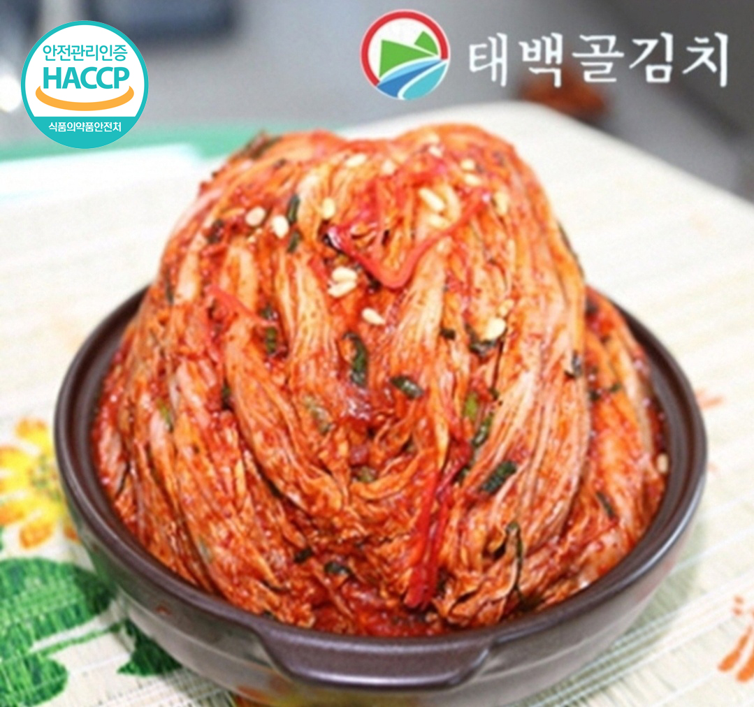 맛있는 샬롬김치 태백골 김장 포기김치 배추 생김치 5~10kg