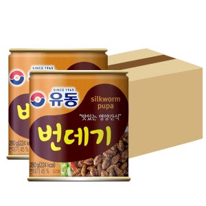 유동 번데기 통조림 280g, 24개