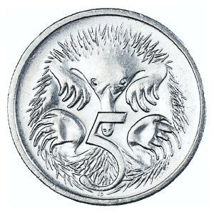 호주 5센트 달러 주화 발행년도 랜덤 (준미사용) 1개 짧은코가시두더지