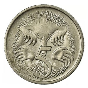 호주 5센트 달러 주화 발행년도 랜덤 (보품) 1개 짧은코가시두더지