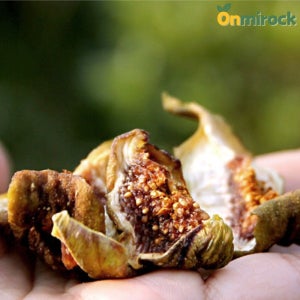 온미락 무농약 함평 무화과 말랭이 100g 친환경인증 말린 무화과 건무화과