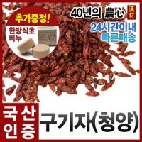 자애인 청양 구기자300g 청양농협 구기자차 건구기자