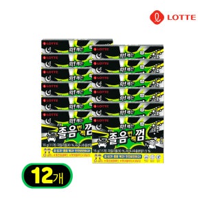 롯데 졸음번쩍 껌 16g x 12갑입