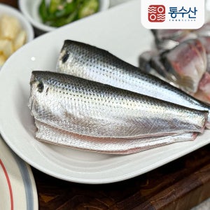 통수산 남해안 제철 활 전어회 세꼬시 필렛 구이용전어 500g~