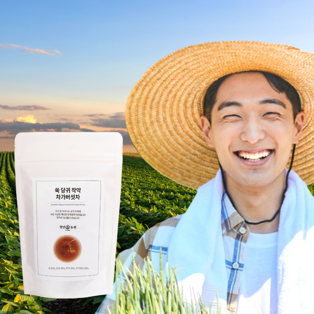쑥차 당귀차 작약차 <b>차가버섯</b>차 효능 인진쑥 무 카페인 임산부 생분해 티백 만들기