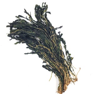 수입 직송 건시래기 10kg 키로 무청시래기