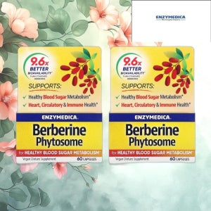 Enzymedica 엔자이메디카 베르베린 파이토솜 캡슐 60정 Phytosome 2개