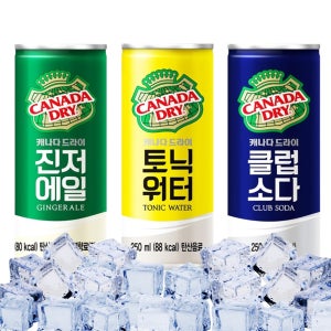 캐나다드라이 진저에일 토닉워터 클럽소다 250ml 12캔 하이볼 탄산수