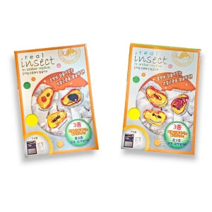 초등 과학 발굴체험 관찰실험키트 교육용 완구 리얼 곤충화석 발굴 키트 (대)