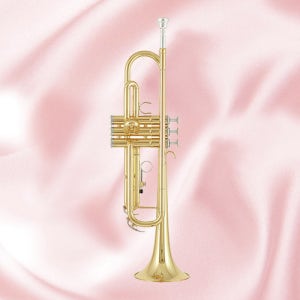 야마하 트럼펫 골드 YTR3335 입문용 연습용 YTR-3335 trumpet 초보자용