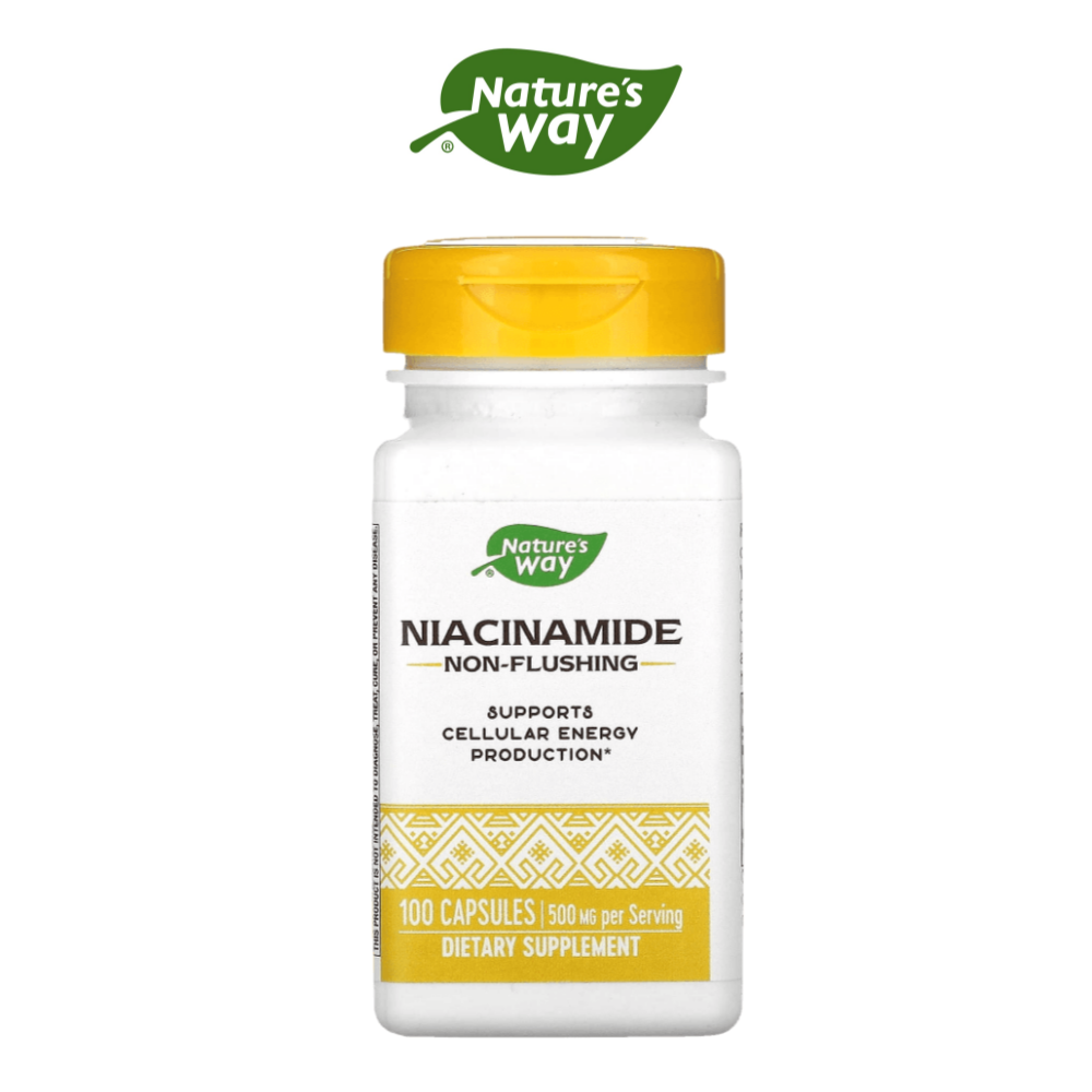 네이쳐스웨이 <b>비타민B3</b> 나이아신 아마이드 500mg 100캡슐