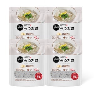 해통령 육수한알 사골맛 (140g, 40개입) x4팩