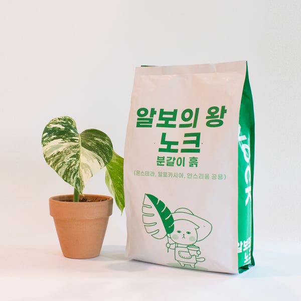 알보의 왕 노크 분갈이 흙 5L 몬스테라 알로카시아 안스리움 분갈이 흙