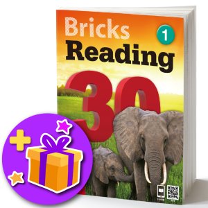 bricksreading 최저가 가성비상품