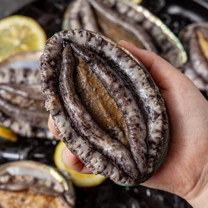 [청진수산] 활전복 1kg 선물세트 산지직송