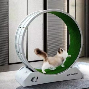 고양이 무소음 캣휠 잔디 스크래처 러닝타워