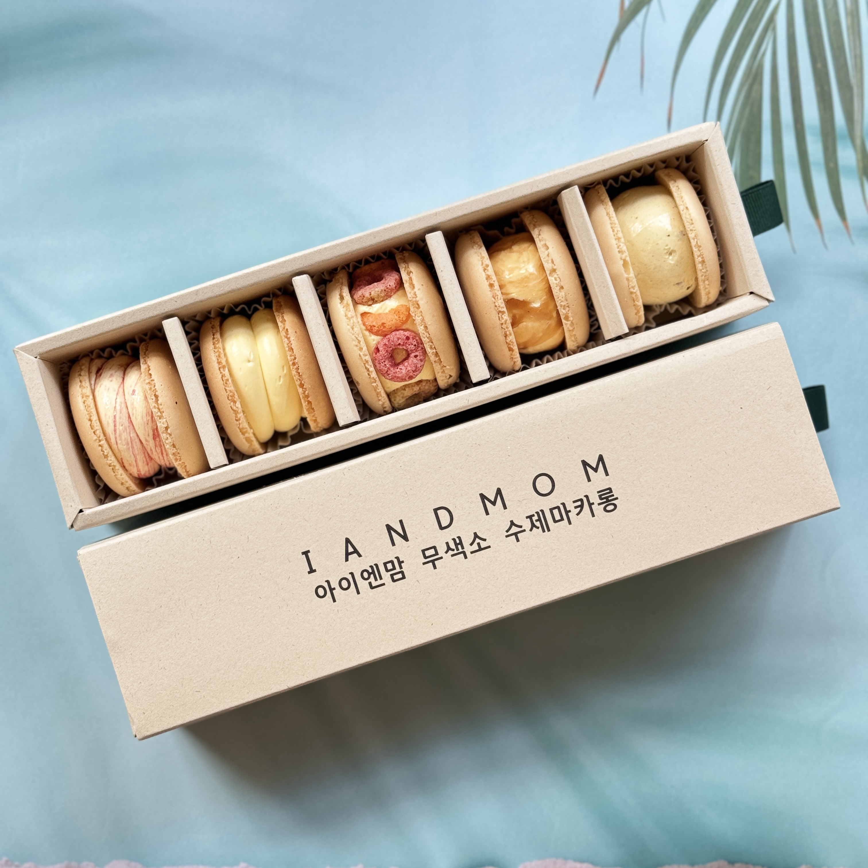 쁘띠렌 수제 마카롱 5구 세트