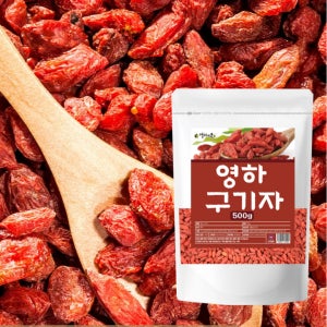 영하구기자 500g 생 건 말린 햇 구기자 차