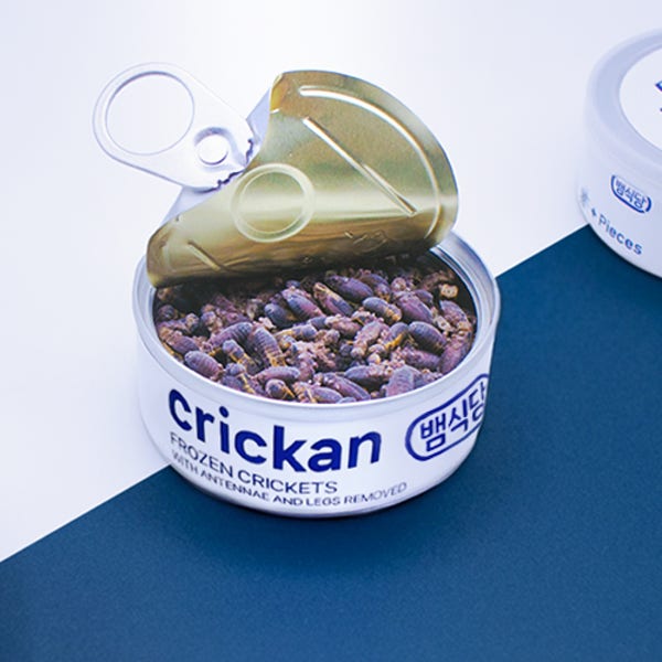 뱀식당 냉동귀뚜라미 크리캔 대 30g 약 80마리 도마뱀먹이 크레스티드게코