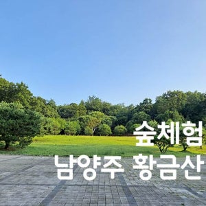 [숲체험] 남양주 황금산 힐링 숲체험 / 깨비의 숲마을과 함께 떠나요