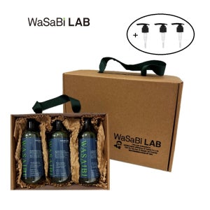 와사비랩 탈모 비듬 쿨 스칼프 케어 와사비샴푸 400g 3통 추석맞이 초특가 패키지