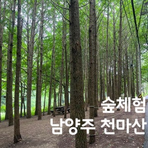 [숲체험] 남양주 천마산 힐링 숲체험 / 깨비의 숲마을과 함께 떠나요