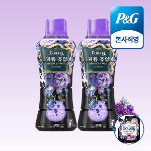 다우니 퍼퓸 쥬얼 자수정 베리 480g 향기 부스터 본품 2개 + (증정) 섬유유연제 200ml 샘플 1개