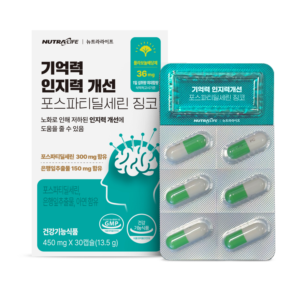 기억력 인지력 개선 포스파티딜세린 징코