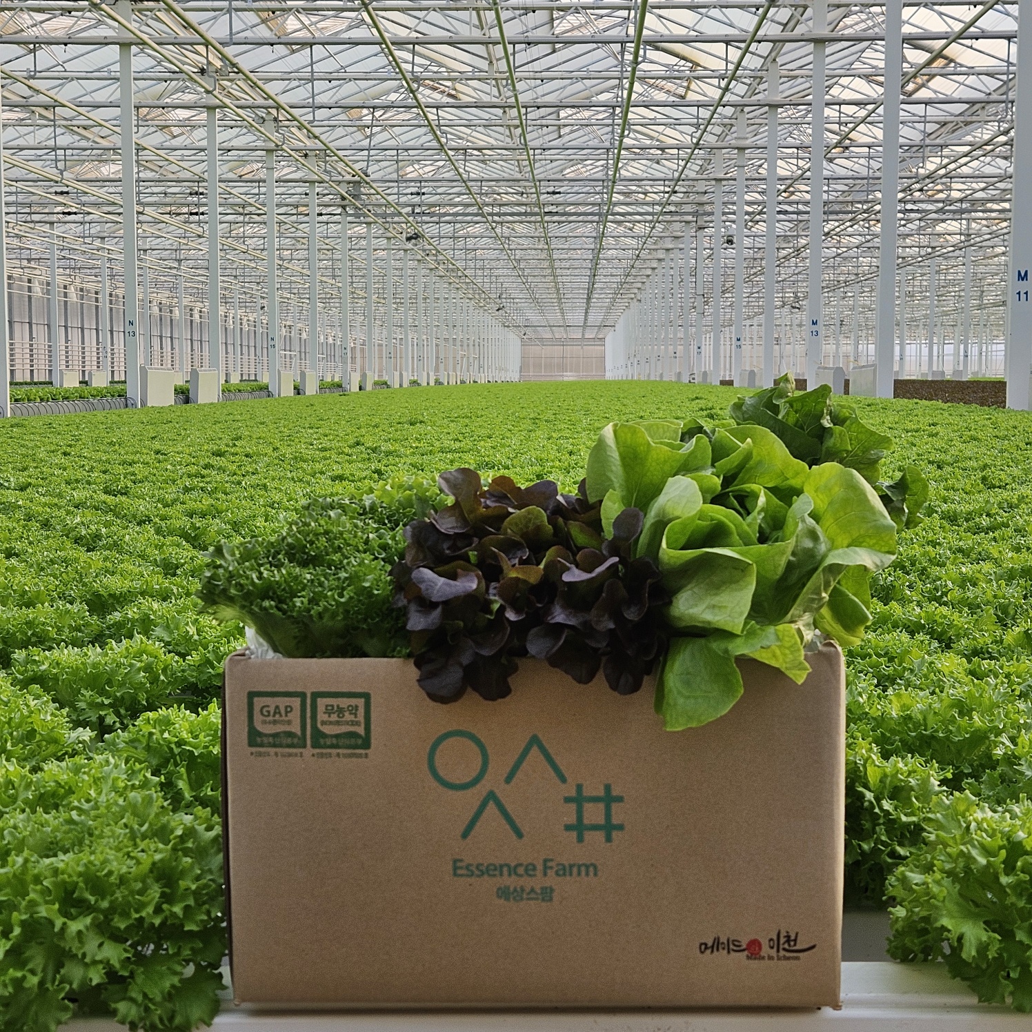 유러피안 샐러드 채소 2kg (6종) (9,900원) (무료)