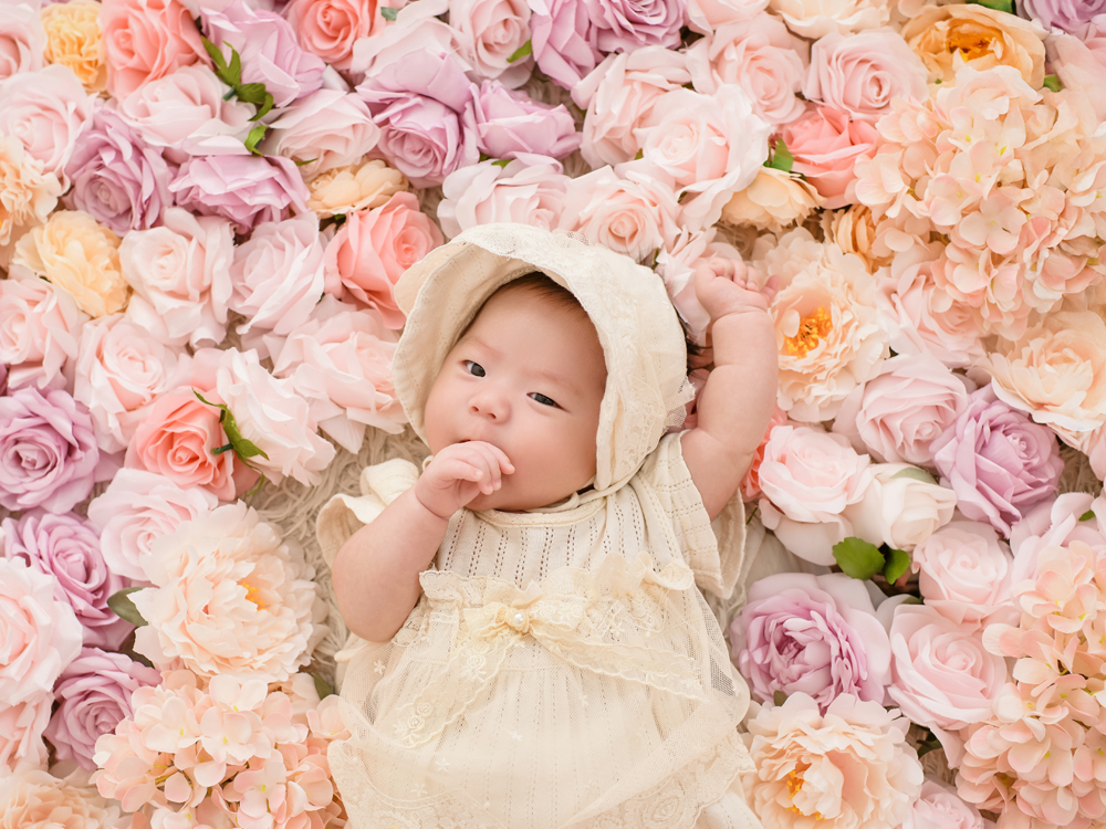 부산 아기사진 50일기념 플라워컨셉촬영 [강언니사진들]